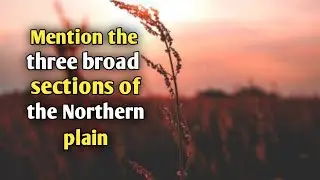 Mention the three broad sections of the Northern plain | The Punjab Plains | The Ganga Plains |