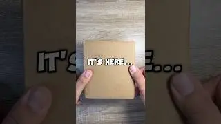Channel Profit/Loss Series! (Pt. 183) Our 3rd PSA SUBMISSION Grade Reveal!