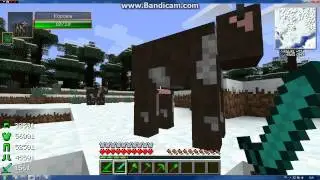 ModShow серия 2-Изумрудная бронька ^_^