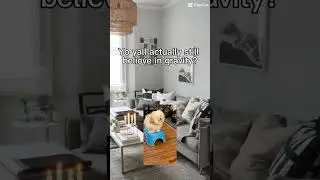 Gravity who?