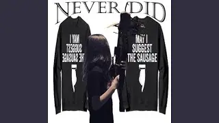 NEVER DID (feat. anarchy & 444Jet)