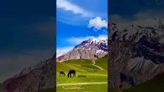 Qaqlasht meadows upper chitral+music ❤️