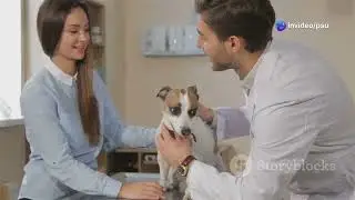 Why Does Your Dog Chase Its Tail? Unraveling the Mystery!