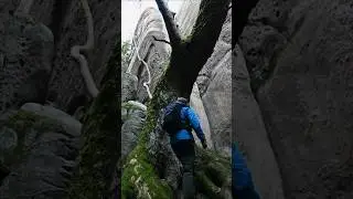 Amazing hiking trail between sandstone rocks #czechrepublic #silenthiking #nature #travel