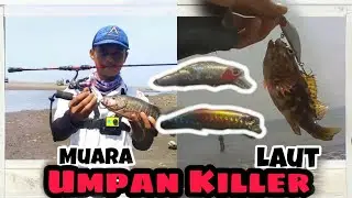 Minnow Murah Killer | Field Test Muara dan Laut || Ultralight Fishing