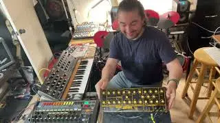 Behringer Wasp - Poly D - RD-8 [Quick Demo]