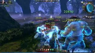 [Neverwinter] Lagstop Time Wizard GAMEPLAY