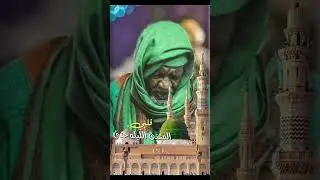 قلبي المعنّى كاملة | المادح مدثر عوض الجيد