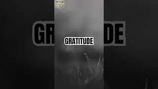 Gratitude | Empowering Affirmation for a Positive Life #10 #positiveaffirmation #quotesforeveryone