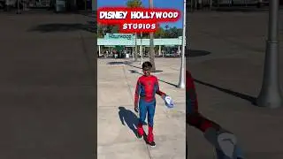Disney Hollywood Studios explore with Spider-Man | Walkthrough | Disney World #hollywoodstudios #yt