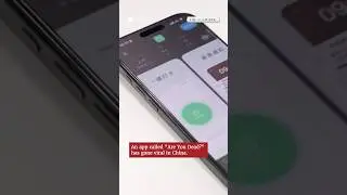 'Are you dead?' Chinese app for single living goes viral