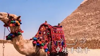 Arabic song saluting Sino-Egyptian ties released in Cairo