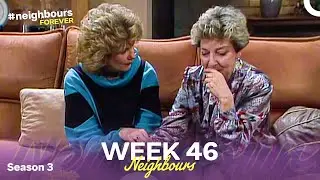 Week 46 | Episodes 626-630 | Neighbours 1987 (Season 3)