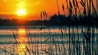 [FREE]-Chill out type beat- 