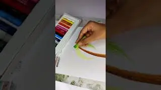 oil pastel coconut tree / beginner series / coconut tree beginner special tutorial