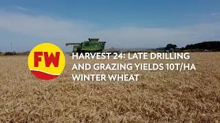Harvest 24: Late drilling and grazing yields 10t/ha winter wheat