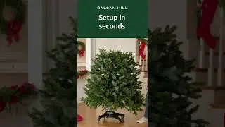Set Up Your Tree In Seconds (15 secs) | #balsamhillau