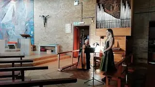 Danny Boy on harp with vocals. Rehearsal recording prior to performing at a funeral that morning.