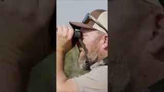 The Fowl Life | MOTV Moments
