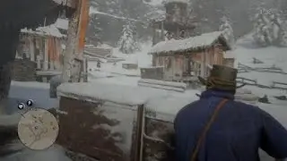 I accidentally shot this guys hat off in story mode rdr