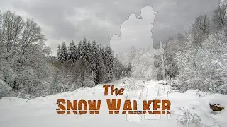 The Snow Walker
