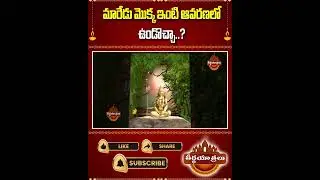 మారేడు మొక్క ఇంటి ఆవరణలో ఉండొచ్చా? | Bael Tree at Home | Vastu Tips | #Teerthayatralu #songs