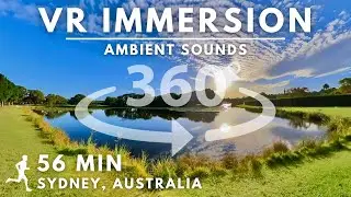 360&deg; VR Immersion in Sydney, Centennial Park - Ambient Sounds