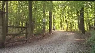 Poland officials discuss trees killed by ash borer
