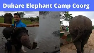 Elephant Activities at Dubare Elephant Camp Coorg - Best Time to Visit - Ticket Price