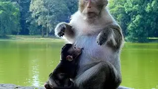 Tara react to deny milk adorable baby Tia