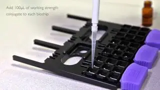 Assay Protocol for Randox Food's AM V Biochip array