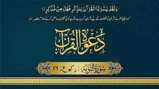 Surah At-Tawbah Rukoo 16 | Quran Translation and Tafseer in Urdu&lrm;