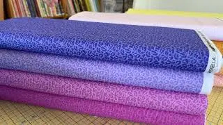 Wild is here! Cary Quilting Company, 2/20/25
