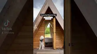 5 Pet-Friendly Getaways in NY