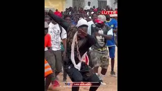 🔴open presse Tapha mbeur en image avec le 100% parcelle #shorts abonnez-vous