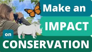 How Can I Make an Impact on Big Conservation Issues?