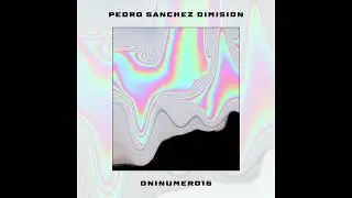 Pedro S&aacute;nchez Dimisi&oacute;n - Dninumero16