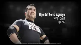 Homenaje Hijo Del Perro Aguayo - AAA WorldWide 2017 - Pedro 