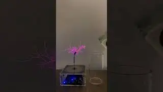 Single turntable + cup + water + five-pointed star light.