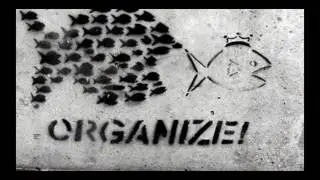Building a Volunteer Base: How to Organize the Grassroots to Win Campaigns and Causes