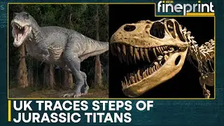Jurassic Jackpot: Discovery Sheds Light On Life In The Middle Jurassic Period | WION Fineprint