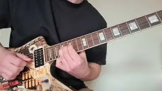 Pantera - A New Level Guitar Solo Lesson