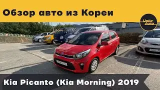 ОБЗОР KIA PICANTO (KIA MORNING) 2019.Как мы подбираем автомобили клиентам. Авто из Кореи.