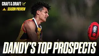 Season Preview: Dandenong Stingrays | Craft of the Draft