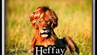 Heffay - Sum Body