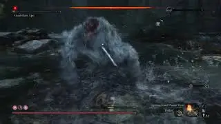 Sekiro&trade;: Shadows Die Twice Save Wizard Edition