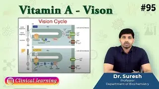 95. Vitamin A - Vison