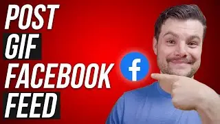 How to Post GIFs to Your Facebook Feed (2023)