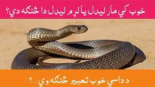 په خوب کي مار لړم ليدل څنګه وي؟ Pa khob ki mar laram lidal sanga v Tabir تعبیر.. #zubairkhanpak