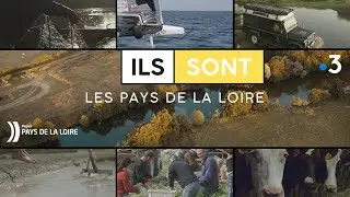 Ils sont les Pays de la Loire : Pierre Régnier, co-fondateur de Velco à Nantes